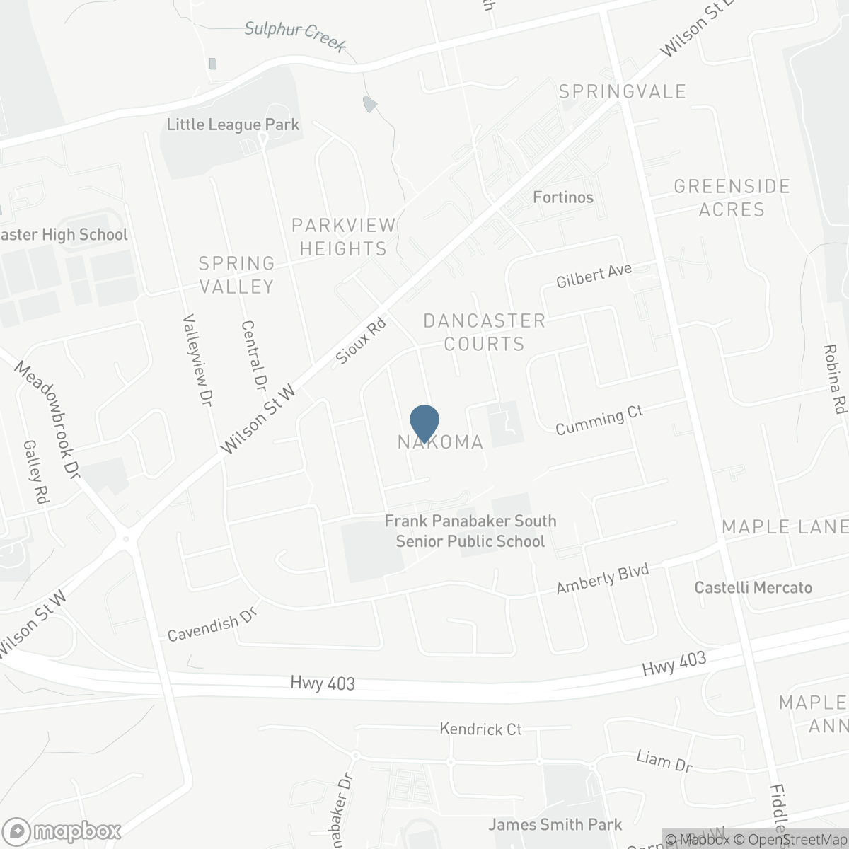238 SEMINOLE ROAD, Ancaster, Ontario L9G 1Y9